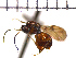  ( - DSW-ON18)  @14 [ ] Unspecified (default): All Rights Reserved  Unspecified Unspecified