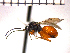  ( - DT-ON3)  @13 [ ] Unspecified (default): All Rights Reserved  Unspecified Unspecified