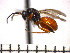  ( - DT-ON7)  @13 [ ] Unspecified (default): All Rights Reserved  Unspecified Unspecified