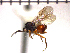  ( - SWP-8)  @13 [ ] Unspecified (default): All Rights Reserved  Unspecified Unspecified