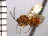  ( - UNK-1)  @13 [ ] Unspecified (default): All Rights Reserved  Unspecified Unspecified