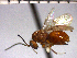  ( - UNK-3)  @13 [ ] Unspecified (default): All Rights Reserved  Unspecified Unspecified