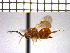 ( - UNK-5)  @13 [ ] Unspecified (default): All Rights Reserved  Unspecified Unspecified