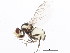  ( - 10BBDIP-1443)  @13 [ ] CreativeCommons - Attribution (2010) CBG Photography Group Centre for Biodiversity Genomics