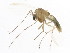  ( - 10BBDIP-1450)  @13 [ ] CreativeCommons - Attribution (2010) CBG Photography Group Centre for Biodiversity Genomics