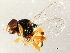  ( - 10BBDIP-1490)  @13 [ ] CreativeCommons - Attribution (2010) CBG Photography Group Centre for Biodiversity Genomics