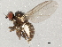  ( - 10BBDIP-1499)  @13 [ ] CreativeCommons - Attribution (2010) CBG Photography Group Centre for Biodiversity Genomics
