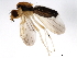  ( - 10BBDIP-1009)  @13 [ ] CreativeCommons - Attribution (2010) CBG Photography Group Centre for Biodiversity Genomics