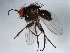  ( - 10BBDIP-1013)  @12 [ ] CreativeCommons - Attribution (2010) CBG Photography Group Centre for Biodiversity Genomics
