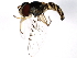  ( - 10BBDIP-1179)  @13 [ ] CreativeCommons - Attribution (2010) CBG Photography Group Centre for Biodiversity Genomics
