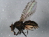  ( - 10BBDIP-1347)  @13 [ ] CreativeCommons - Attribution (2010) CBG Photography Group Centre for Biodiversity Genomics