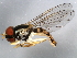  ( - 10BBDIP-1405)  @14 [ ] CreativeCommons - Attribution (2010) CBG Photography Group Centre for Biodiversity Genomics