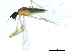  ( - 10BBDIP-1610)  @12 [ ] CreativeCommons - Attribution (2010) CBG Photography Group Centre for Biodiversity Genomics