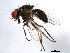  ( - 10BBDIP-1844)  @13 [ ] CreativeCommons - Attribution (2010) CBG Photography Group Centre for Biodiversity Genomics