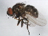  ( - 10BBDIP-1869)  @13 [ ] CreativeCommons - Attribution (2010) CBG Photography Group Centre for Biodiversity Genomics