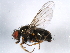  ( - 10BBDIP-2073)  @13 [ ] CreativeCommons - Attribution (2010) CBG Photography Group Centre for Biodiversity Genomics