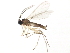  ( - 10BBDIP-2118)  @13 [ ] CreativeCommons - Attribution (2010) CBG Photography Group Centre for Biodiversity Genomics