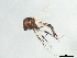  ( - 10BBDIP-2123)  @13 [ ] CreativeCommons - Attribution (2010) CBG Photography Group Centre for Biodiversity Genomics