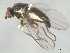  ( - 10BBDIP-2129)  @12 [ ] CreativeCommons - Attribution (2010) CBG Photography Group Centre for Biodiversity Genomics