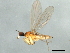  ( - 10BBDIP-2152)  @12 [ ] CreativeCommons - Attribution (2010) CBG Photography Group Centre for Biodiversity Genomics