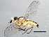  ( - 10BBDIP-0608)  @13 [ ] CreativeCommons - Attribution (2010) CBG Photography Group Centre for Biodiversity Genomics