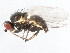  ( - 10BBDIP-0754)  @13 [ ] CreativeCommons - Attribution (2010) CBG Photography Group Centre for Biodiversity Genomics