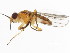  ( - 10BBDIP-0943)  @14 [ ] CreativeCommons - Attribution (2010) CBG Photography Group Centre for Biodiversity Genomics