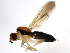  ( - 10BBDIP-0989)  @13 [ ] CreativeCommons - Attribution (2010) CBG Photography Group Centre for Biodiversity Genomics