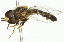  ( - 10BBDIP-0157)  @12 [ ] CreativeCommons - Attribution (2010) CBG Photography Group Centre for Biodiversity Genomics