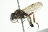  ( - 10BBDIP-0282)  @13 [ ] CreativeCommons - Attribution (2010) CBG Photography Group Centre for Biodiversity Genomics