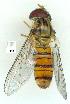  ( - gvc09934-1L)  @13 [ ] Copyright (2004) Unspecified Unspecified