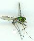  ( - gvc10048-1L)  @12 [ ] Copyright (2004) Unspecified Unspecified