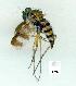  ( - gvc10292-1L)  @12 [ ] Copyright (2004) Unspecified Unspecified