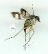  ( - gvc10293-1L)  @13 [ ] Copyright (2004) Unspecified Unspecified