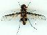  ( - gvc10456-1L)  @12 [ ] Copyright (2004) Unspecified Unspecified