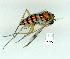  ( - gvc10479-1L)  @12 [ ] Copyright (2004) Unspecified Unspecified