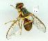  ( - gvc10529-1L)  @13 [ ] Copyright (2004) Unspecified Unspecified