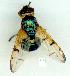  ( - gvc10706-1L)  @11 [ ] Copyright (2004) Unspecified Unspecified