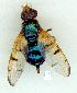  ( - gvc10709-1L)  @13 [ ] Copyright (2004) Unspecified Unspecified