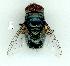  ( - gvc10724-1L)  @13 [ ] Copyright (2004) Unspecified Unspecified