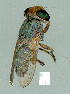  ( - gvc10791-1L)  @11 [ ] Copyright (2004) Unspecified Unspecified