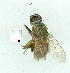 ( - gvc10808-1L)  @12 [ ] Copyright (2004) Unspecified Unspecified