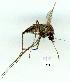  ( - gvc11270-1L)  @12 [ ] Copyright (2004) Unspecified Unspecified