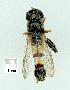  ( - gvc11942-1L)  @12 [ ] Copyright (2004) Unspecified Unspecified