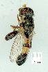  ( - gvc12024-1L)  @12 [ ] Copyright (2004) Unspecified Unspecified