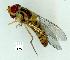  ( - gvc12060-1L)  @12 [ ] Copyright (2004) Unspecified Unspecified