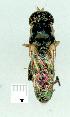  ( - gvc12069-1L)  @12 [ ] Copyright (2004) Unspecified Unspecified
