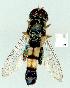  ( - gvc12073-1L)  @12 [ ] Copyright (2004) Unspecified Unspecified