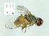  ( - gvc12080-1L)  @12 [ ] Copyright (2004) Unspecified Unspecified
