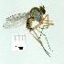  ( - gvc12087-1L)  @12 [ ] Copyright (2004) Unspecified Unspecified
